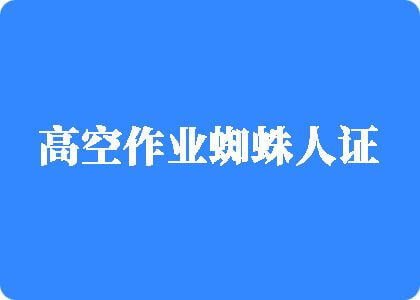 电影,日逼高空作业蜘蛛人证